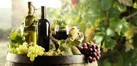 Şarap Tesisleri,Damıtma Tesisleri, Yağ ve Tohum Prosesi